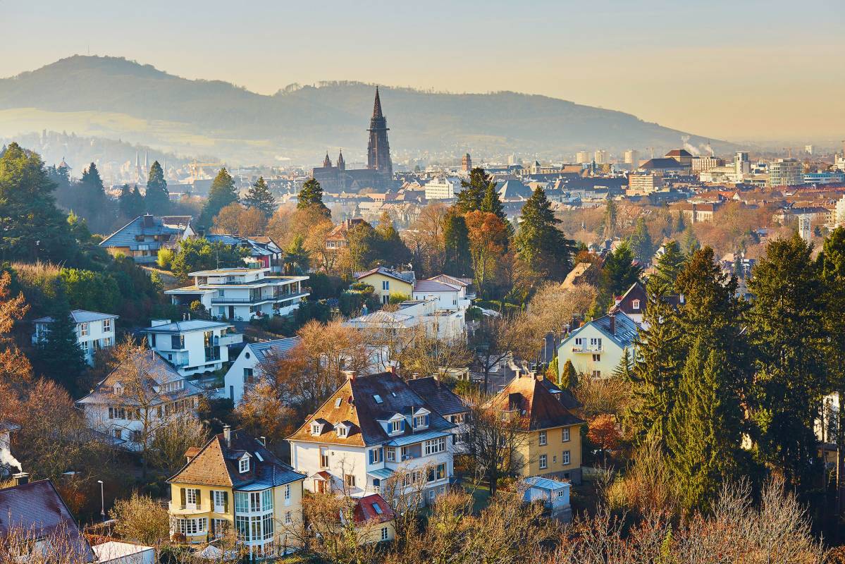 Photo de la ville de Fribourg, une ville étudiante. Grand panorama avec maisons et arbres au premier plan et montagnes au deuxième plan.
